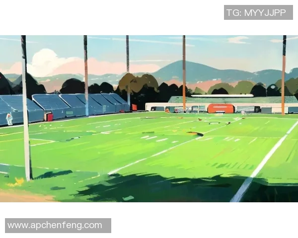 足球明星燃剪：展现激情与决心的赛场剪影，球场之外的独特风采